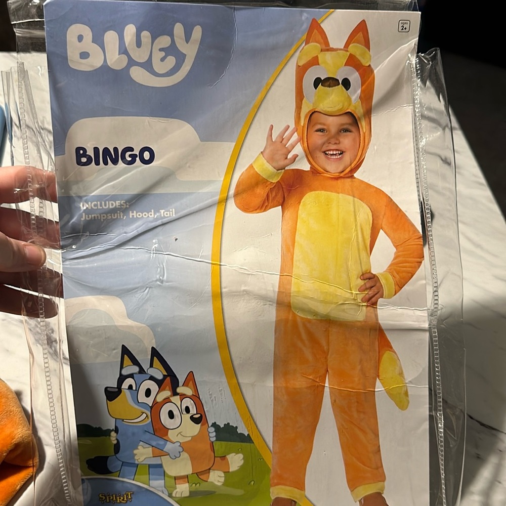 Bingo Halloween costume 2t